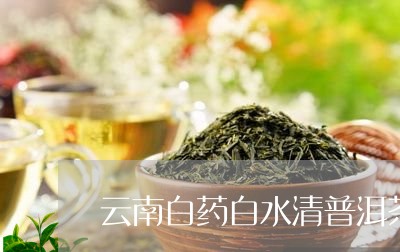 云南白药白水清普洱茶/2023062061840