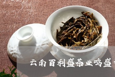 云南百利盛茶业鸣盛号普洱茶/2023052786371