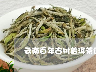 云南百年古树普洱茶饼/2023092794817