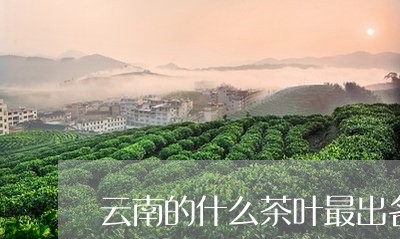 云南的什么茶叶最出名/2023092272926