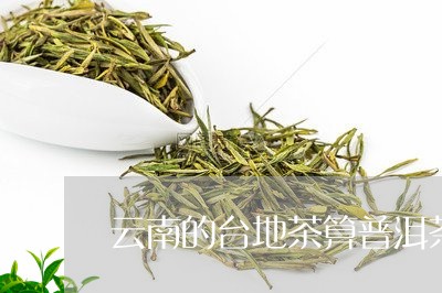 云南的台地茶算普洱茶吗/2023122058270