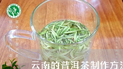 云南的普洱茶制作方法/2023062390496