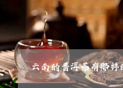 云南的普洱茶有那样的特点/2023082811915