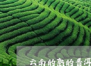 云南的熟的普洱茶好吗/2023092965049