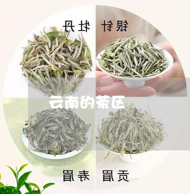 云南的茶区/2023041807341