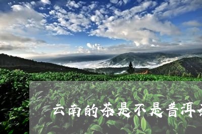 云南的茶是不是普洱茶的一种/2023052824138