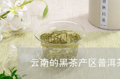 云南的黑茶产区普洱茶/2023100797403