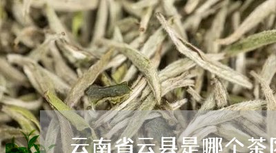 云南省云县是哪个茶区/2023061092926