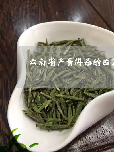 云南省产普洱茶的古寨/2023092828371