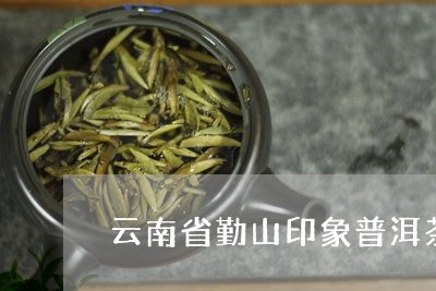 云南省勤山印象普洱茶/2023120670483