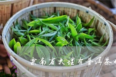 云南省大理有普洱茶吗/2023072205472