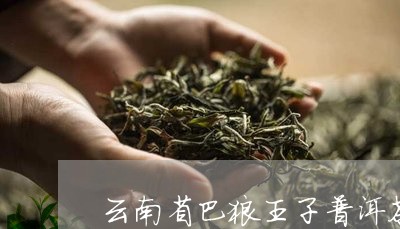 云南省巴狼王子普洱茶/2023072465058