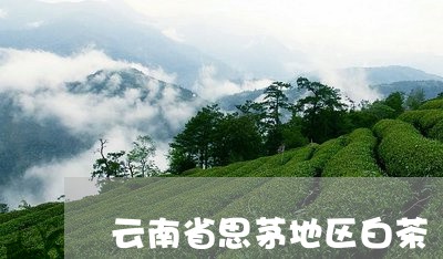 云南省思茅地区白茶/2023071438484