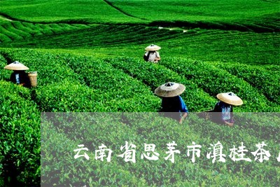 云南省思茅市滇桂茶厂/2023071633150