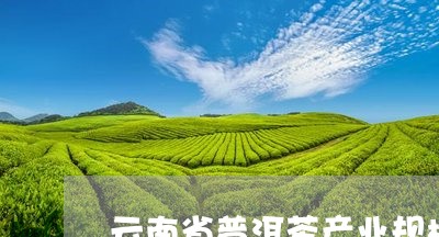 云南省普洱茶产业规模/2023093024161