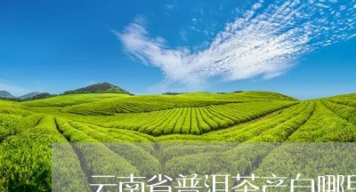 云南省普洱茶产自哪里/2023061902825