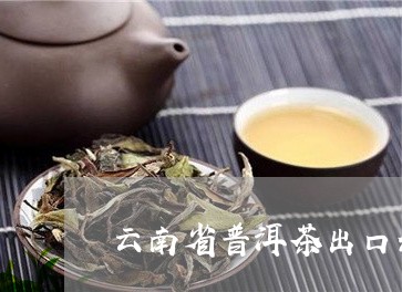 云南省普洱茶出口公司/2023061998171