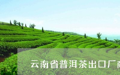 云南省普洱茶出口厂商/2023061360703