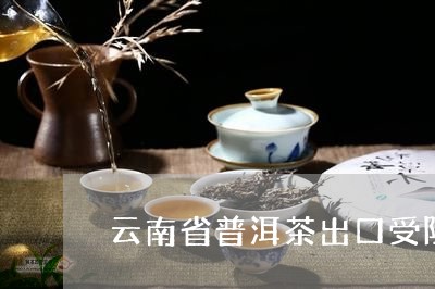 云南省普洱茶出口受阻/2023072409470