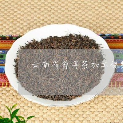 云南省普洱茶加工视频/2023062329572