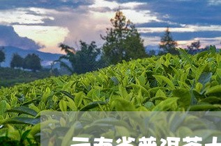 云南省普洱茶十大品牌/2023092642713