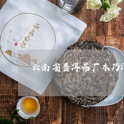 云南省普洱茶厂木乃河/2023061489372