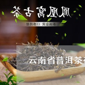 云南省普洱茶在那个市/2023061785149