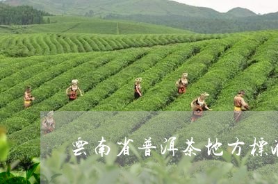 云南省普洱茶地方标准/2023093071826