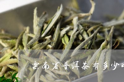 云南省普洱茶有多少吨/2023092879714