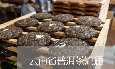 云南省普洱茶流通/2023120450726