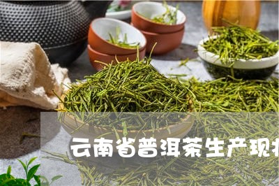 云南省普洱茶生产现状/2023062366352