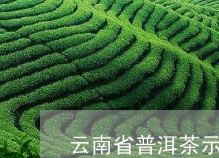 云南省普洱茶示范基地/2023120647393