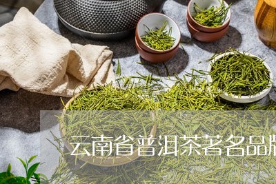 云南省普洱茶著名品牌/2023061501693