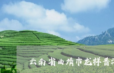 云南省曲靖市龙祥普洱茶体验馆/2023082641715