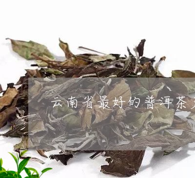 云南省最好的普洱茶产地/2023120733593