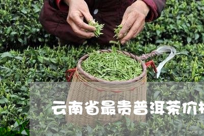 云南省最贵普洱茶价格/2023093066252