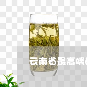 云南省最高端的普洱茶/2023072161825