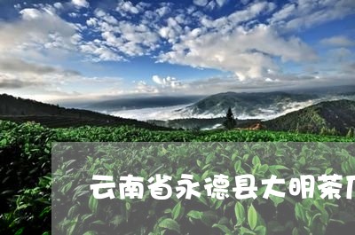 云南省永德县大明茶厂/2023071661603