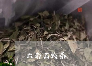 云南石头茶/2023041808120