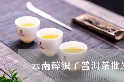 云南碎银子普洱茶批发/2023100667362