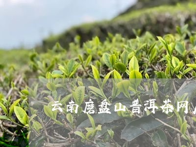 云南磨盘山普洱茶网店/2023062776460