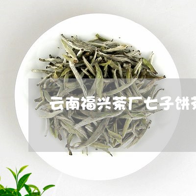 云南福兴茶厂七子饼茶/2023092291705