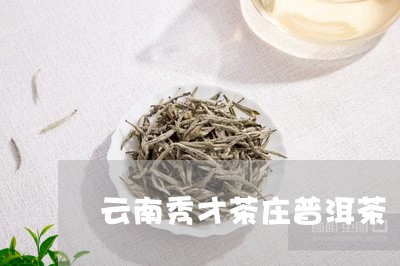 云南秀才茶庄普洱茶/2023091414149