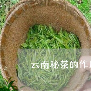 云南秘茶的作用与功效/2023092114939