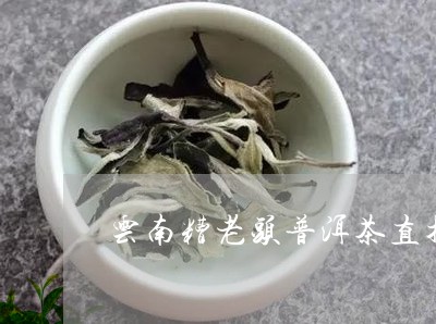 云南糟老头普洱茶直播/2023080117461