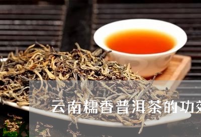 云南糯香普洱茶的功效/2023062179382