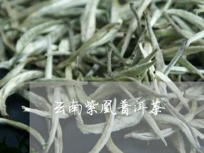 云南紫凰普洱茶/2023081843816