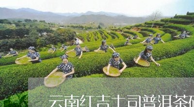 云南红吉土司普洱茶砖/2023061439506