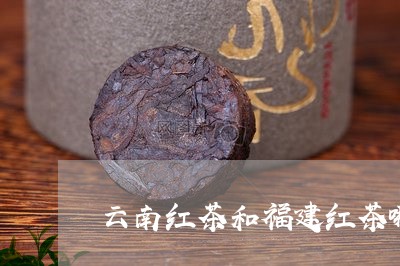 云南红茶和福建红茶哪个好喝/2023052662726