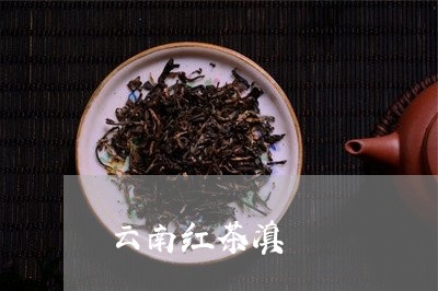 云南红茶滇/2023041744742